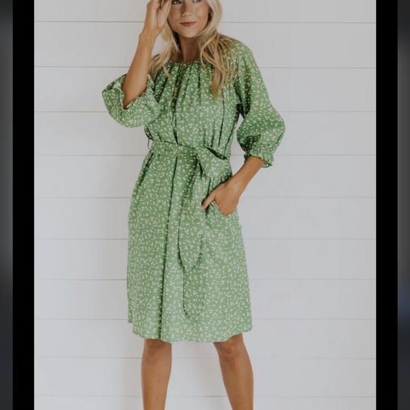 Roolee Green Floral Stop and Smell The Flowers Belted Puff Sleeve Dress S Small - Picture 1 of 7